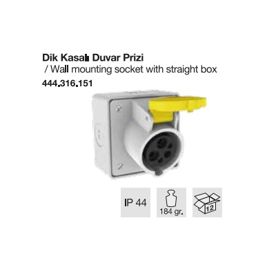MONOFAZE CEE NORM DUVAR PRİZİ DİK KASALI-110V