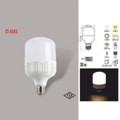 30W TORCH LED AMPUL